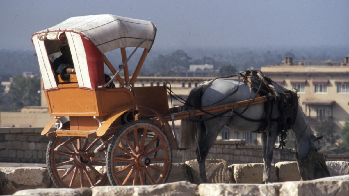 Bruxelles devient la première ville d'Europe à introduire des calèches électriques sans chevaux pour les touristes