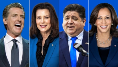 Qui peut remplacer Biden à la tête du Parti démocrate ?