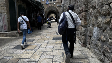 Haine et violence dans la cité de Dieu