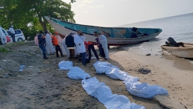 Les 5 600 kilomètres du cayuco « des îles Canaries » qui ont abouti en République Dominicaine