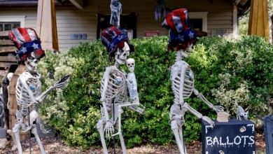 Égalité technique dans les sondages à quatre jours des élections : Trump gagnerait par le minimum