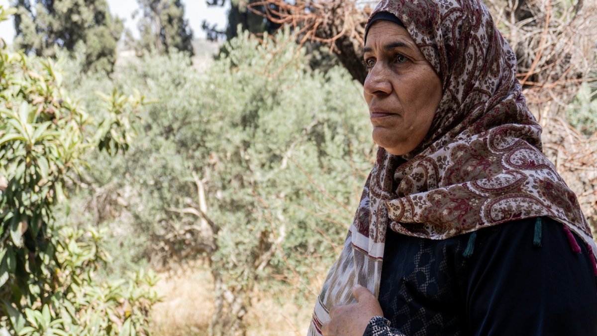 « Les colons israéliens ont imposé la loi »