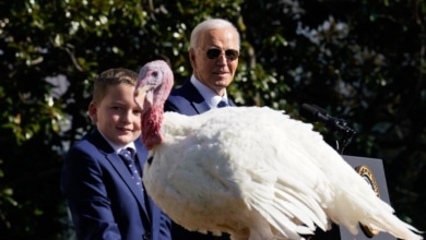 Biden gracie ses dernières dindes pour Thanksgiving
