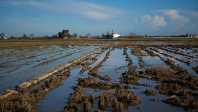 Les catastrophes naturelles rendent plus cher le panier de courses des ménages à faible revenu