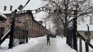 Les nouveaux fantômes d'Auschwitz 79 ans après sa libération