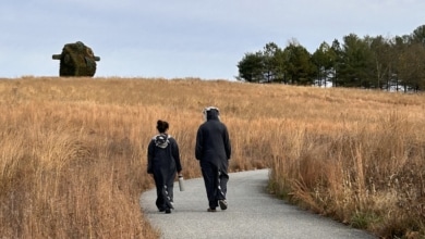 Art sans règles et en plein air : Glenstone, quand une fortune de plusieurs millions de dollars s'ouvre au public