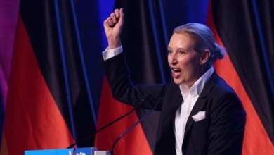 Qui craint l'alternative pour l'Allemagne: radiographie de la fête ultra-droite la plus dangereuse en Europe