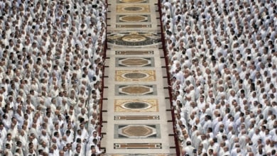 Les crevettes, la figure clé de la transition papale