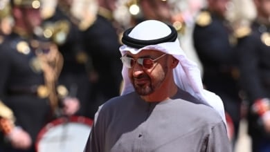 Bin Zayed, Gulf Machiavelli