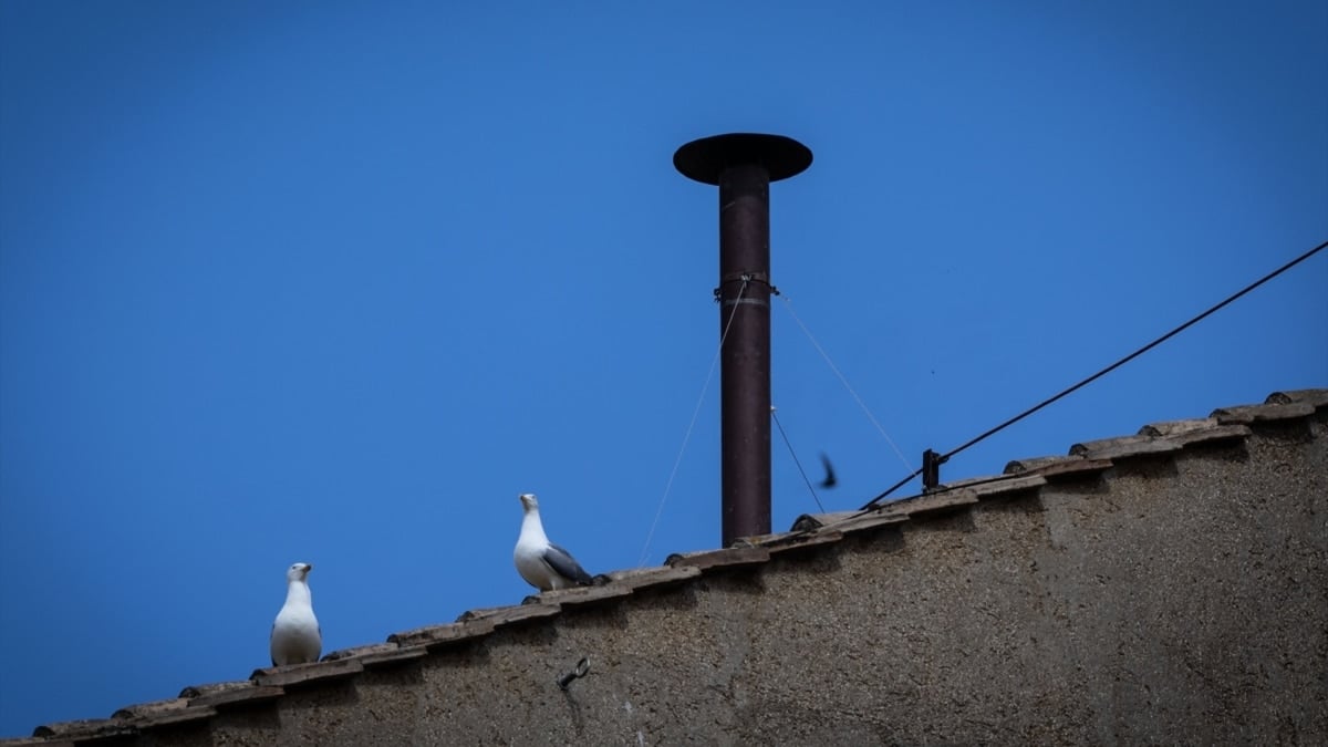 Conclave pour choisir le nouveau pape, Live: The Vatican Today
