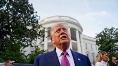 Ainsi, Trump a piqué pour vouloir jeter tous les syntaves pour suspendre les raids dans 