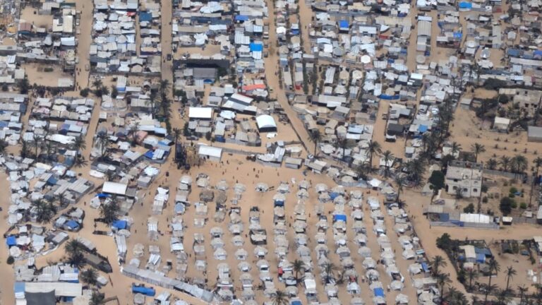 « La destruction qu'ils provoquent est supérieure à celle de l'avantage »