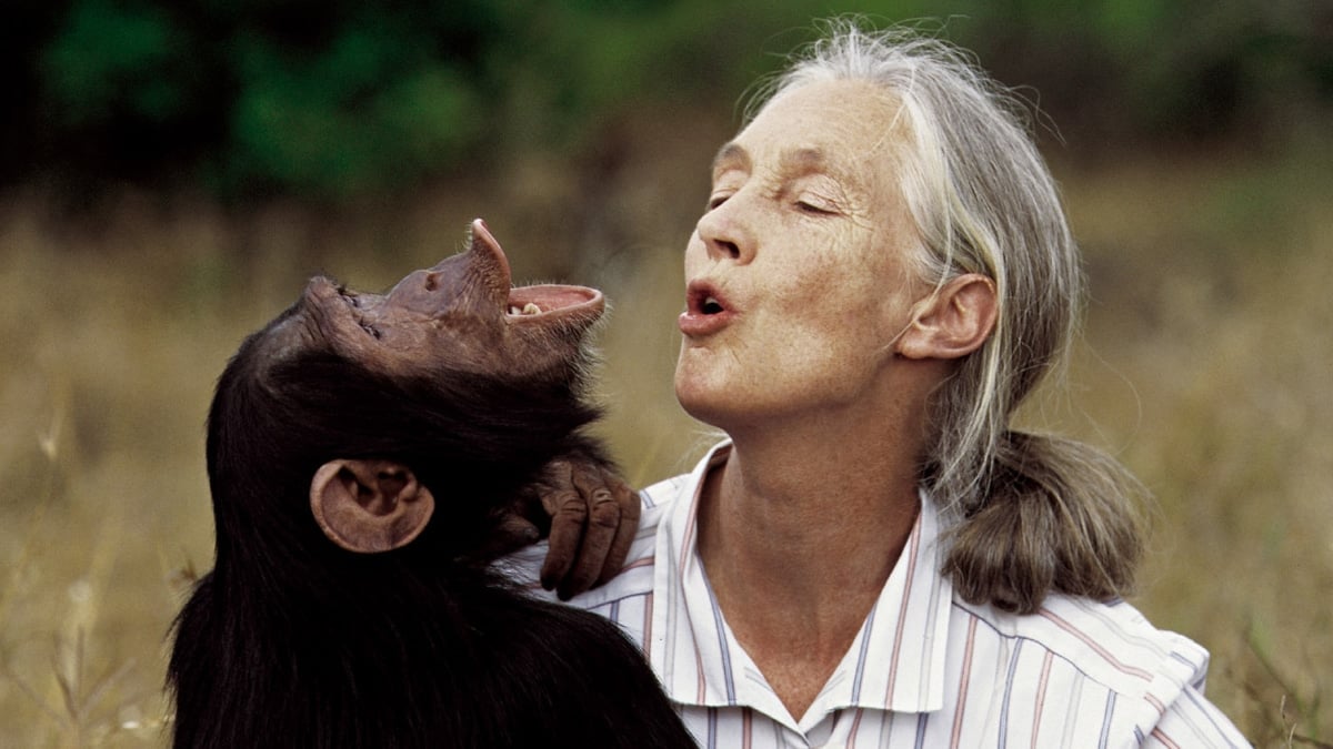 L'éthologiste britannique Jane Goodall décède à 91