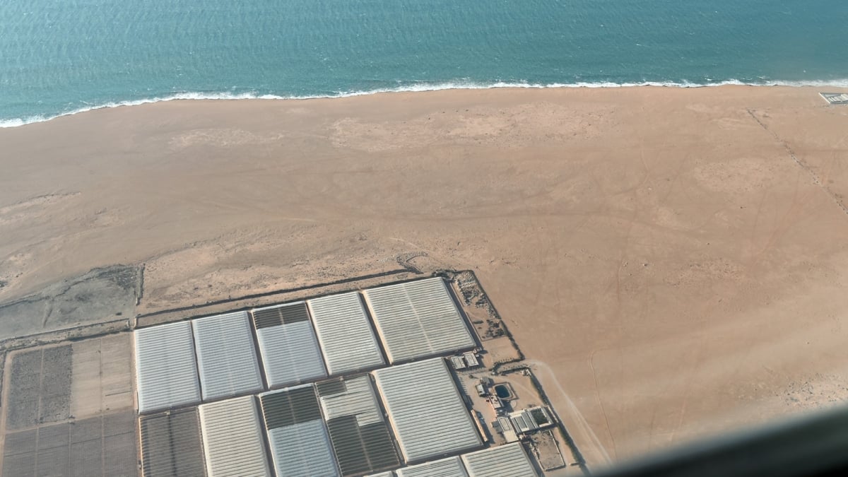 Le Polisario accuse l'UE de céder à la pression du Maroc avec le nouvel accord agricole sur le Sahara