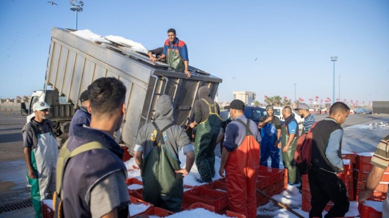 Le pillage marocain du Sahara occidental, lors d'une foire à Barcelone