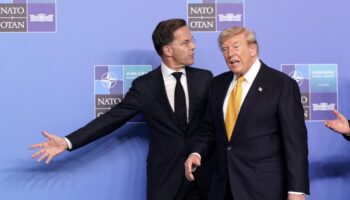Le secrétaire général de l'OTAN termine le sommet en faisant l'éloge de Trump et minimise ses critiques à l'égard des alliés.