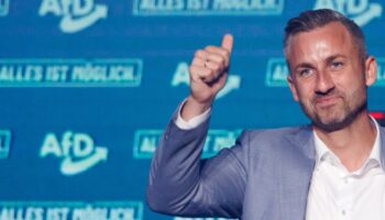 Ulrich Siegmund, nouvelle normalité de l'extrême droite allemande