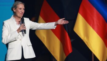 Allemagne 2033, l'extrême droite arrive au pouvoir